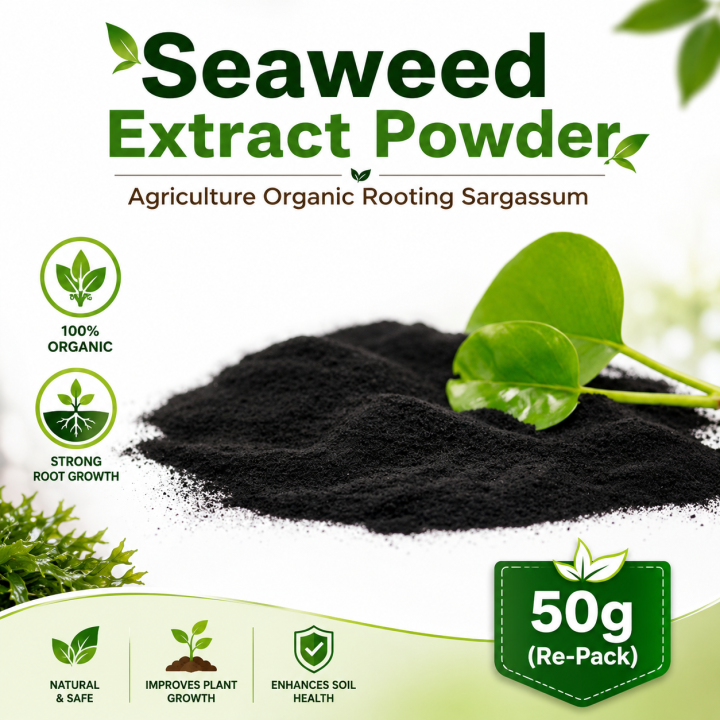 Seaweed extract powder Agriculture organic rooting sargassum 50g(Re pack)