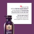 RYO Hair Strength Expert Care Shampoo for Oily Scalp (Korea) - 400ml. 