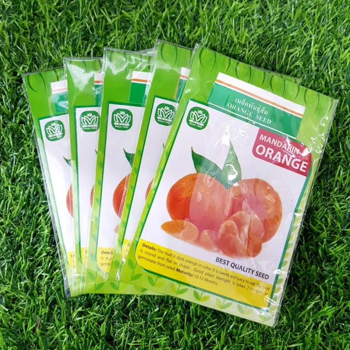 F1%20Hybrid%20Mandarin%20Orange%20Seed%20-%2015%20Seeds%20Intact%20Packet%20(Imported%20from%20Thailand)%20-%20Image%202