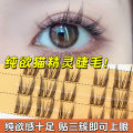 Large Capacity Pure Desire Mix Single Cluster Natural Cat Ear Eyelash Book Trilogy Guppy Cat Elf False Eyelashes. 