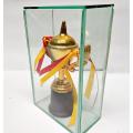 Glass and Plastic Cricket Mini Trophy. 