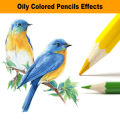 AICRANE Professional 12/24/36/48Colors Oily Colored Pencils Hexagon Wooden Handle Set Artist Painting Drawing Sketch Art Design. 