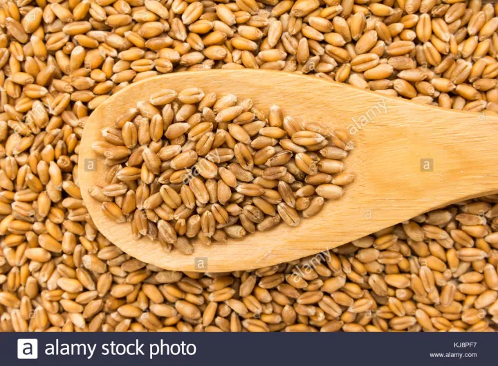 Red%20Wheat%20Grain%20For%20Brids%20Foods%20-(%20%E0%A6%B2%E0%A6%BE%E0%A6%B2%20%E0%A6%97%E0%A6%AE%E0%A7%87%E0%A6%B0%20%E0%A6%A6%E0%A6%BE%E0%A6%A8%E0%A6%BE%20)-1Kg%20-%20Image%203
