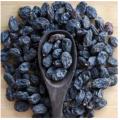 Black Dry Kismis - 100gm (Pakistani). 
