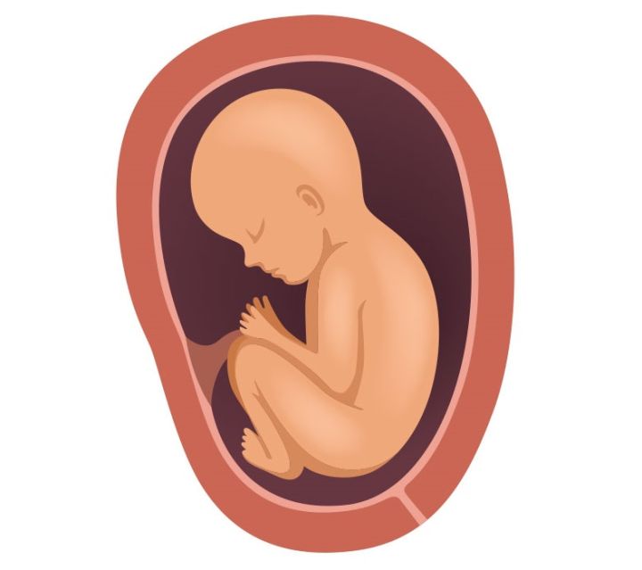 Maryam%20Full-(Maryam%20flower%20is%20for%20pregnant%20and%20barren%20women)-1pcs%20-%20Image%204