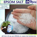 Epsom Salt - 100 gram Pack - Magnesium Sulfate For Plant - ইপসম সল্ট. 