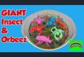 Magic Insect or Bug - 5 Pieces - Slime. 