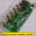 BANGLADESHI PT2399 OK339 Amplifier Circuit OK339 Digital Karaoke Amplifier DC 12-15V 3A Dual Power Low Noise Filter Circuit Module HiFi Audio Module. 