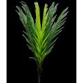 Artificial Plastic Branch Of Tree (Made In China) - Flower Vase.
