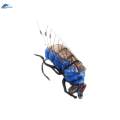 Fly Fishing Flies with Hooks, Lures, Artificial Baits for Perch, Trout, Fishing. 