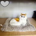 Cute cat plush toy doll Soft cat doll simulation kitten pillow. 