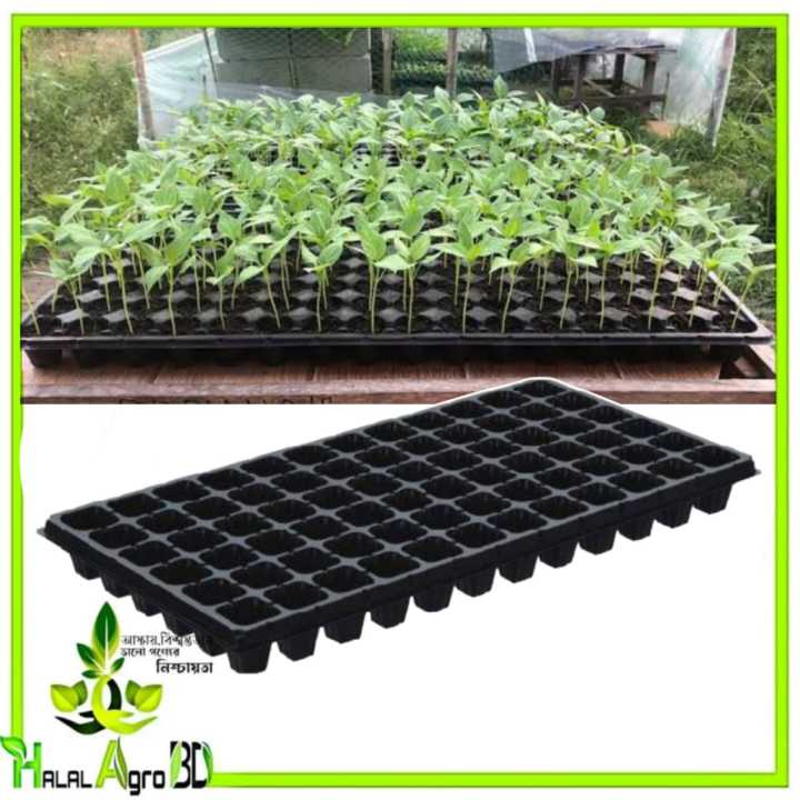 Seedling Tray 128 cells/Nursery Seedling Tray