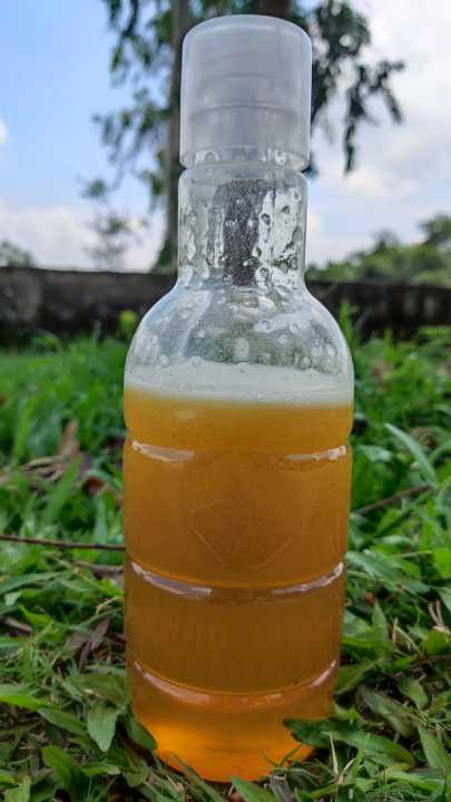 Lychee%20Flower%20Honey%20Benefits,%20Lychee%20Flower%20Honey,%201kg%20Lychee%20Flower%20Price,%20Explore%20our%20delightful%20extracts%20of%20Lychee%20Flower%20Honey,%20Lychee%20Flower%20Honey%20Price%20-%20Image%203