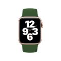 For Apple Watch Series 8&7 41mm / SE 2&6&SE&5&4 40mm / 3&2&1 38mm Solid Color Elastic Silicone Watch Band, Size:L 156mm.