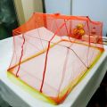 1ps Baby Single Mosquito Folding Net (26x22x20 inches) - Colour as per Stock.
