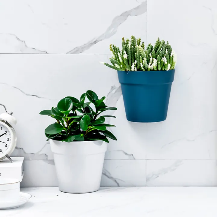 Wall%20Mounted%20Plastic%20Potted%20Plant%20Flowerpot%20Creative%20Wall%20Hanging%20Planter%20Semi%20Circular%20Small%20Flower%20Pot%20Wall%20Decoration%20Cologo%20-%20Image%202