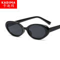 Vintage ins sunglasses SHEIN PC lenses.