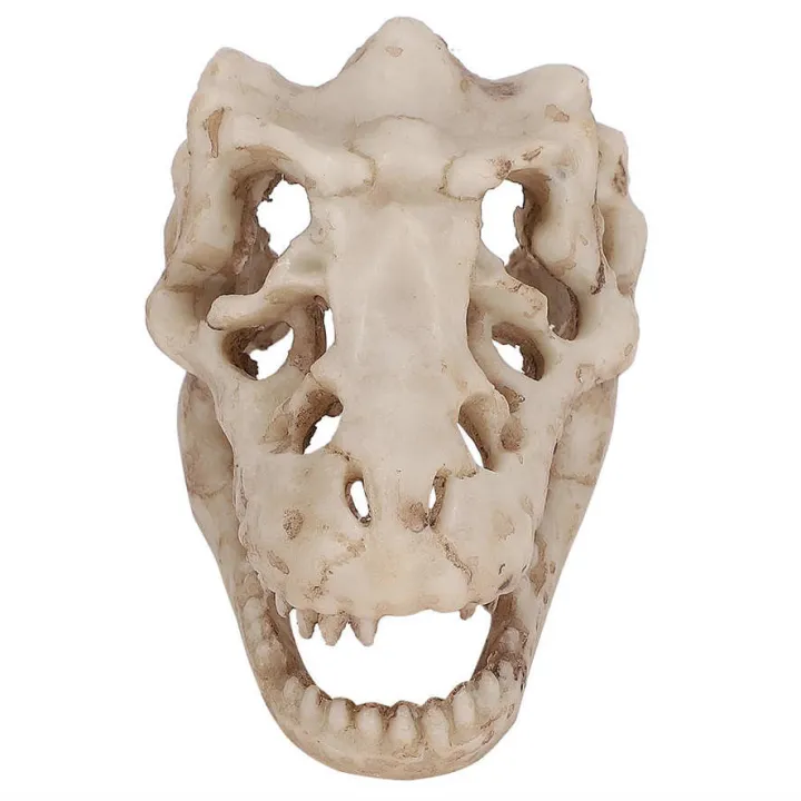 fish%20tank%20decor%20artificial%20simulation%20dinosaur%20skull%20shape%20for%20water%20lan%20-%20Image%205