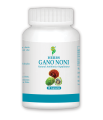 Gano Noni supplement Anti-cancer,Immune, peptic ulcer support 30 Capsules. 