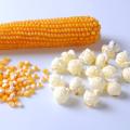 Pop Corn Bhutta (Pop Corn)- 1kg. 