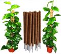 Coco Poles (24inch) for Climbing Plants | Coconut Palm Fiber Monstera Plant Support, Money Plants and etc. | Handmade Coco pole for Plant Support Sticks for Potted Plants..