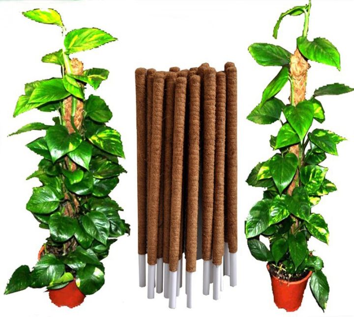 Coco Poles (24inch) for Climbing Plants | Coconut Palm Fiber Monstera Plant Support, Money Plants and etc. | Handmade Coco pole for Plant Support Sticks for Potted Plants.
