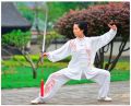 Retractable Sword, Tai Chi Kung Fu Martial Arts Magic Sword. 