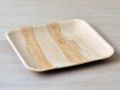 6'' Areca Leaf Plate- 6 pcs (3 Piece Sqaure+3 Piece Round) painting palate. 