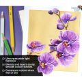 BRUSTRO Artists Water Colored Pencils - Set of 24 Shades - 4mm Lead | Break Resistant, Erasable, High Pigmented, Vibrant Colours | Ideal for Drawing, Mandala, Shading, Portrait, Fine Art Students.