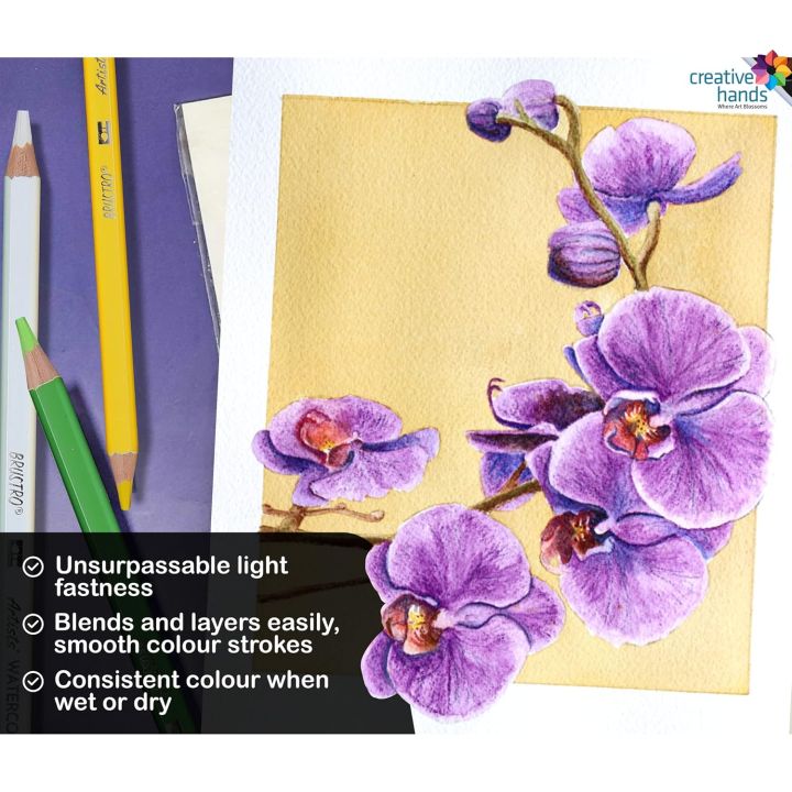 BRUSTRO%20Artists%20Water%20Colored%20Pencils%20-%20Set%20of%2024%20Shades%20-%204mm%20Lead%20%7C%20Break%20Resistant,%20Erasable,%20High%20Pigmented,%20Vibrant%20Colours%20%7C%20Ideal%20for%20Drawing,%20Mandala,%20Shading,%20Portrait,%20Fine%20Art%20Students%20-%20Image%203