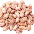 Chitra Mix Kidney Beans/ Chitra Rajma/ Chitra Kidney Beans/ Rajma- 1 kg. 