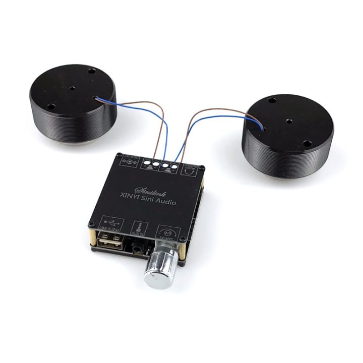 2*25W Resonance Vibration Speaker Bluetooth DIY Stereo Audio Portable Class D Power Amplifier Subwoofer HiFi System