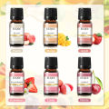 EUQEE 6pcs/set Fragrance Oil Gift Kit For Diffuser Coffee Bakery Harvest Spice Pumpkin Pie Forest Pine Sweet Fruit Aroma Oils. 