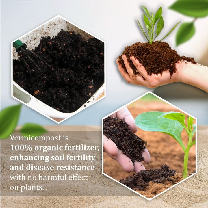 Vermicompost%20Organic%20Fertilizer%20%E2%80%93%20Odor%20Free%20&%20Worm%20Free%20(1%20Kg)%20-%20Image%202