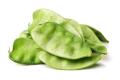 Highly Vital - Hybrid kidney bean (Simer Bij) seeds 1 intake packet (05 gram) - Tools, DIY & Outdoor - Modern and Trendy. 