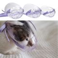 Kitten Cat Grooming Pet Mouth Cover Cat Recovery Anti-Bark Anti-Bite Cat Mask Cat Muzzle Transparent.
