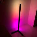 Color Changing RGB Mood Lighting Metal LED Wall Corner Floorlamp. 