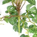 Tropical Artificial Party Decoration For Home Garden Decor Office Living Room Fake Plant Simulation Plants Turtle Leaves Green Plant.