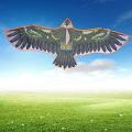 High Strength Eagle Kite, Kids Kite, Children for Outdoor Kids Adults.