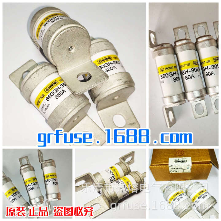 Sunrise%20Management%20660GH-16ULTC%20Inverter%20Fuses%20Electric%20Vehicle%20Insurance%20-%20Image%202
