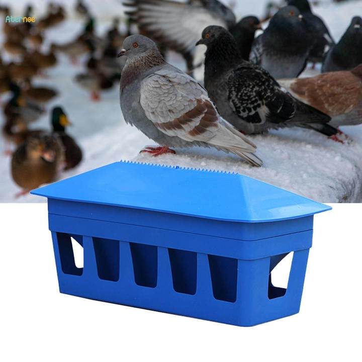 Pigeon Feeder Drinking Dispenser Detachable Food Dispenser Bird