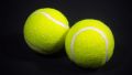 Wholesale price 6 pcs Set Tennis Ball. 