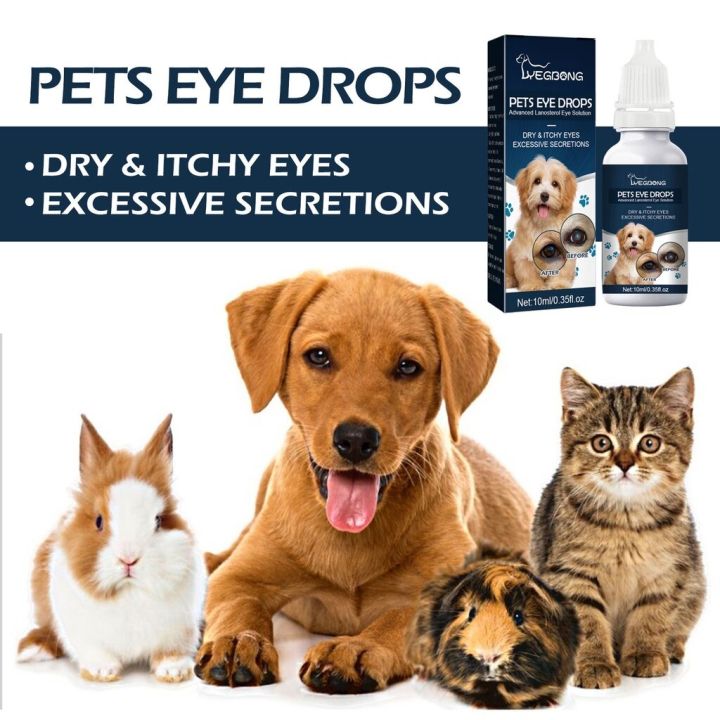 Cataract%20Drops%20For%20Pets,%20Therapeutic%20Eye%20Lubricating%20Drop%20For%20Dog%20Cats,%20Improve%20Vision%20Clarity,%20Health%20Dryness%20-%20Image%204