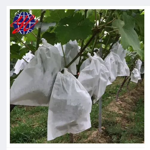 Fruit%20Protection%20Paper%20Bags%2010%20pcs%20Grape,Guava,Mango%20White%20Protection%20Cover%20Bags%206.2X7.7inch%20-%20Image%203