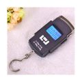 WeiHeng WH-A08 50kg LCD Dual Accuracy Portable Electronic Scale Support Temperature Measuring with Hanging Hook / Backlight. 