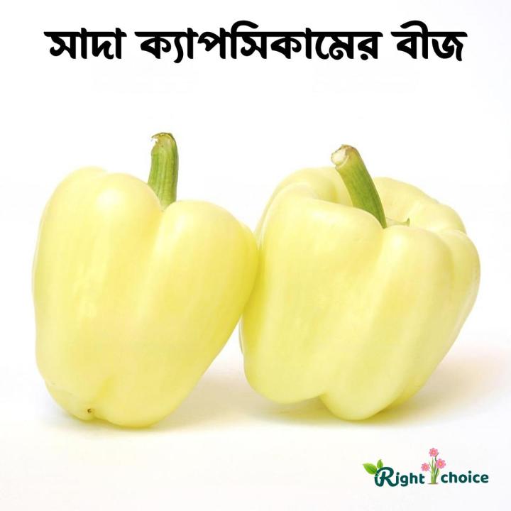 Hybrid Capsicum Seeds (White color) 20 Pice + gift | Daraz.com.bd