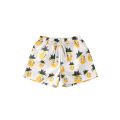 Summer Toddler Boys Beach Swimwear Shorts Baby Kids Children Swimming Trunks Swimsuit Summer Swim Wear Cartoon Printed Trunks.
