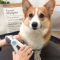 LED Light Pet Nail Clipper Professional Pet Cat Dog Nail Trimmer Cat and Dog Nail Cutters Animal Grooming Rabbit Nail Clippers with Cat Dog Nail File Grinder.