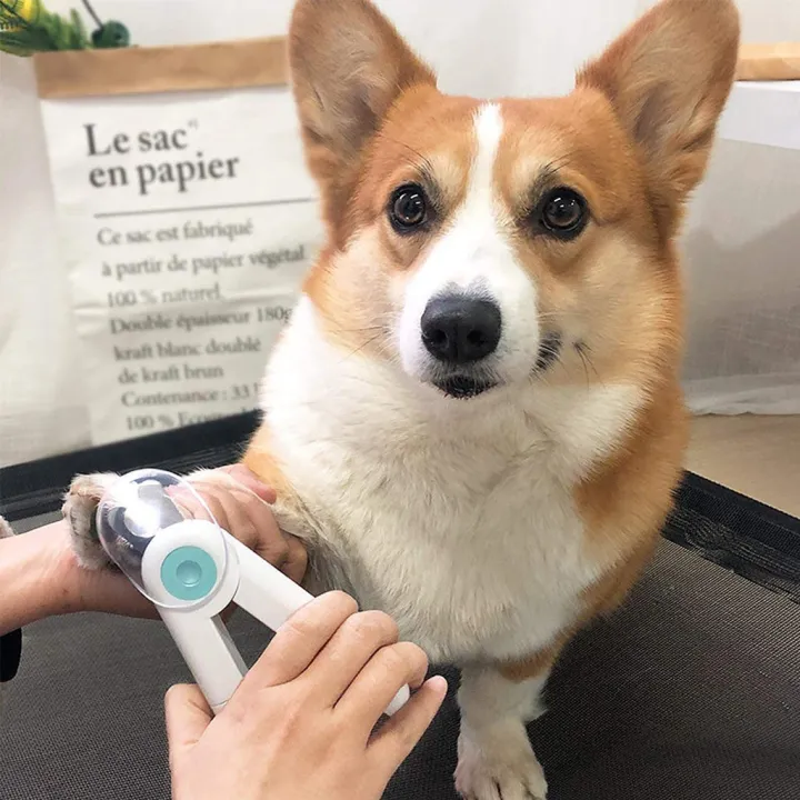 LED%20Light%20Pet%20Nail%20Clipper%20Professional%20Pet%20Cat%20Dog%20Nail%20Trimmer%20Cat%20and%20Dog%20Nail%20Cutters%20Animal%20Grooming%20Rabbit%20Nail%20Clippers%20with%20Cat%20Dog%20Nail%20File%20Grinder%20-%20Image%203