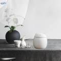 Tea Canister with Airtight Lid for Loose Tea and Tea Bags, 50g Capacity Small Kitchen Canisters for. 
